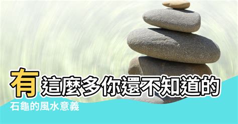 石龜風水|石龜擺放：專家建議